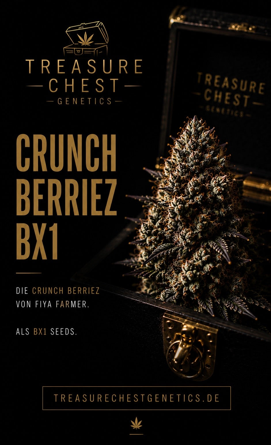 Crunch Berriez Bx1