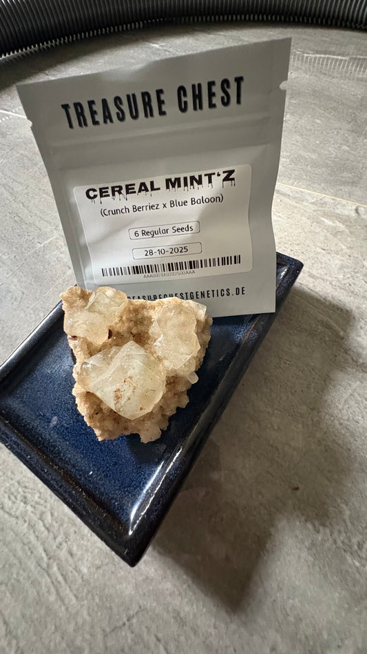 Cereal MintZ