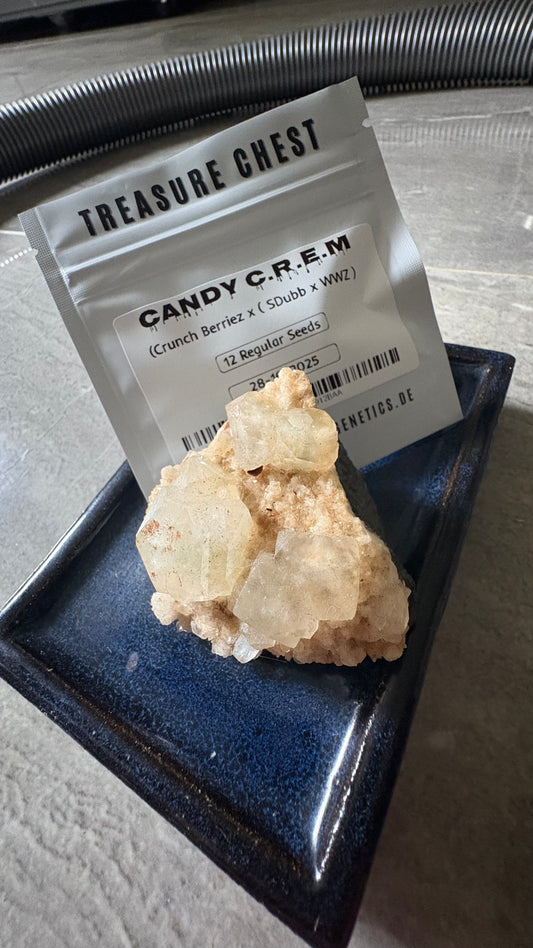 Candy C.R.E.A.M