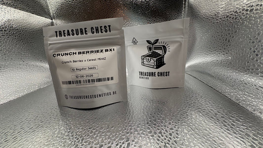 Crunch Berriez Bx1