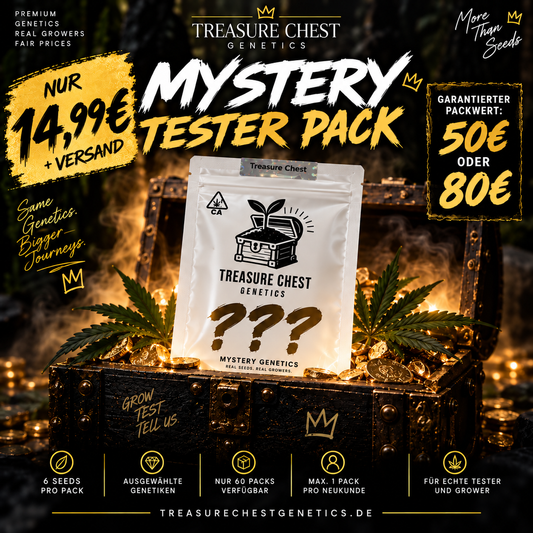 Mystery Tester Pack – Limited Drop
